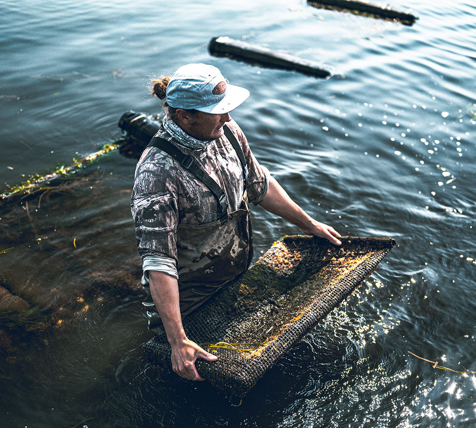 oyster-farming-sq